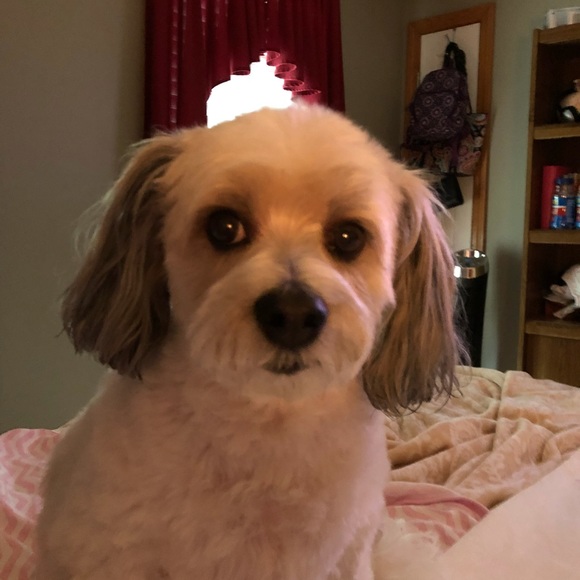 My Best Friend Forever In My Heart 💕 - Picture 13 of 17